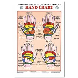 Hand Reflexology Chart Laminated