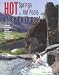 Book Hot Springs & Hot Pools of the Northwest: Jayson Loam's Original Guide
