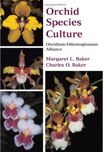 Orchid Species Culture: Oncidium/Odontoglossum Alliance