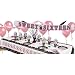 Sweet 16 Sparkle Party Super Party Kit