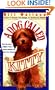 A Dog Called Kitty