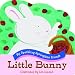 Search : Little Bunny (My Sparkling Springtime Friends)