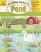 All About the Pond