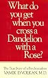 What Do You Get When You Cross a Dandelion With a Rose: The True Story of a Psychoanalysis (What Do You Get When Cross Dand CL)