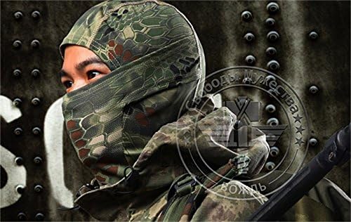 Painting On Canvas Chiefs Rattlesnake Balaclava Tactical Airsoft Hunting Outdoor Paintball Motorcycle Ski Cycling Protection Warrior Samurai Full Face Mask (#2)