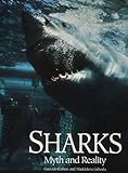 Sharks : myth and reality