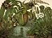 Venus Fly Trap - Art Print Poster 22 x 16