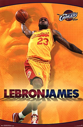 Cleveland Cavaliers - Lebron James 14 Poster 22 x 34in