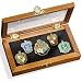 Harry Potter Hogwarts Pin / Badge Collection - Five Pins in Display Case