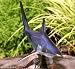 Taxidermy 23" Fiberglass Blue Shark Sculpture Statue