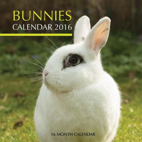 Bunnies Calendar 2016: 16 Month Calendar
