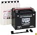 Yuasa YUAM620BH YTX20HL-BS Battery