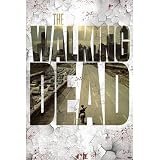 (24x36) The Walking Dead Streets TV Poster Print