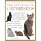 I Love Cats