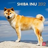 Shiba Inu 2012 Square 12X12 Wall Calendar (Multilingual Edition)