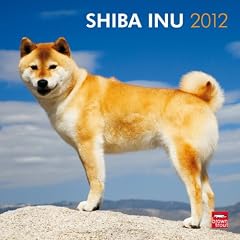 Shiba Inu 2012 Wall
