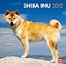 Shiba Inu 2012 Square 12X12 Wall Calendar (Multilingual Edition)