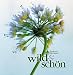 cover of wild und schön. Kunstwerk Unkraut
