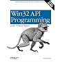 Win32 API Programming with Visual Basic