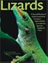 Lizards: A Natural History of Some Uncommon Creatures:Extraordinary Chameleons, Iguanas, Geckos, & More