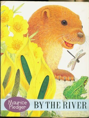 Oscar Otter (Touch & Feel Board Books)
