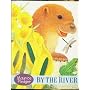 Oscar Otter - By the River (Touch & Feel Board Books)