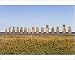 Photographic Prints of Ahu Tongariki, the largest ahu on the Island, Tongariki is a row of 15 giant from Robert Harding