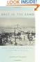 Salt in the Sand: Memory, Violence, and the Nation-State in Chile, 1890 to the Present (Politics, History, and Culture)