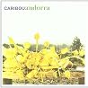 Bild des Albums von Caribou