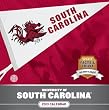 South Carolina Gamecocks 2013 Daily Box Calendar 5.375" X 5.25"