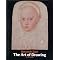 Draw from Life