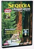 Sequoia & Kings Canyon National Parks