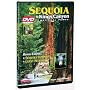 Sequoia & Kings Canyon National Parks