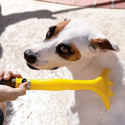 Dog Washing Hand! Awsome! Patented!