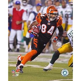 T.J. Houshmandzadeh, Sports Wall Photograph, 8x10