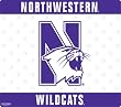 Wow!Pad 78WC056 Northwestern Collegiate Logo Desktop Mouse Pad