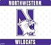 Search Our Specialty Mall : Wow!Pad 78WC056 Northwestern Collegiate Logo Desktop Mouse Pad