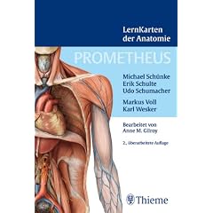 Prometheus Lernkarten der Anatomie