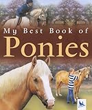 My best book of ponies