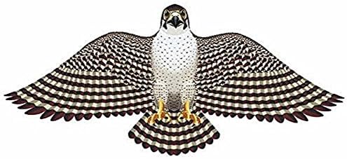 Gayla Industries 839 Peregrine Falcon Wildlife Wing Flapper Kite-55" Wingspan