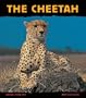 The Cheetah: Fast as Lightning (Animal Close-Ups)