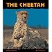 The Cheetah: Fast as Lightning (Animal Close-Ups)