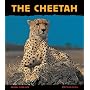 The Cheetah: Fast as Lightning (Animal Close-Ups)
