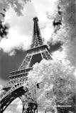 Eiffel Tower (Parc du Champ de Mars) Art Poster Print - 24x36 Poster Print, 24x36