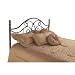 Dynasty Headboard