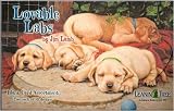 Leanin' Tree Loveable Labs by Jim Lamb Greeting Card Assortment - Blank paper greeting cards
