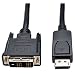 Tripp Lite Display Port Male To Dvi-D Male 6Ft Cable With Full 1080P Video Resolution Supported
