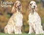 Just English Setters 2008 Calendar
