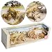 Great Cats Boxed Set_s-1