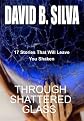 Through Shattered Glass